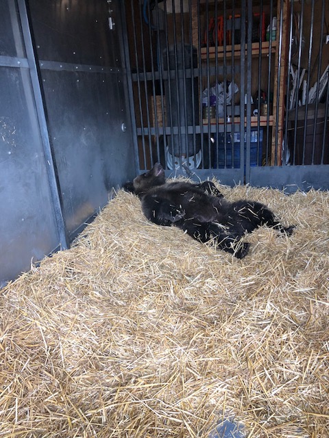 144399F9-9098-459D-B6E2-4DF441593B81