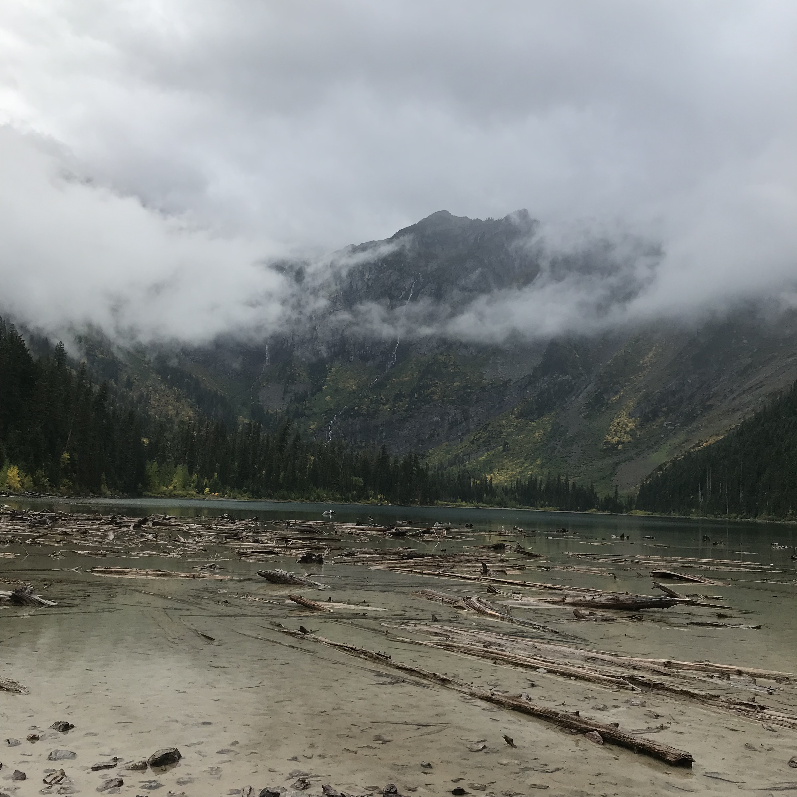 15BCDEF1-E888-4927-A0F1-925DD1E23FF0