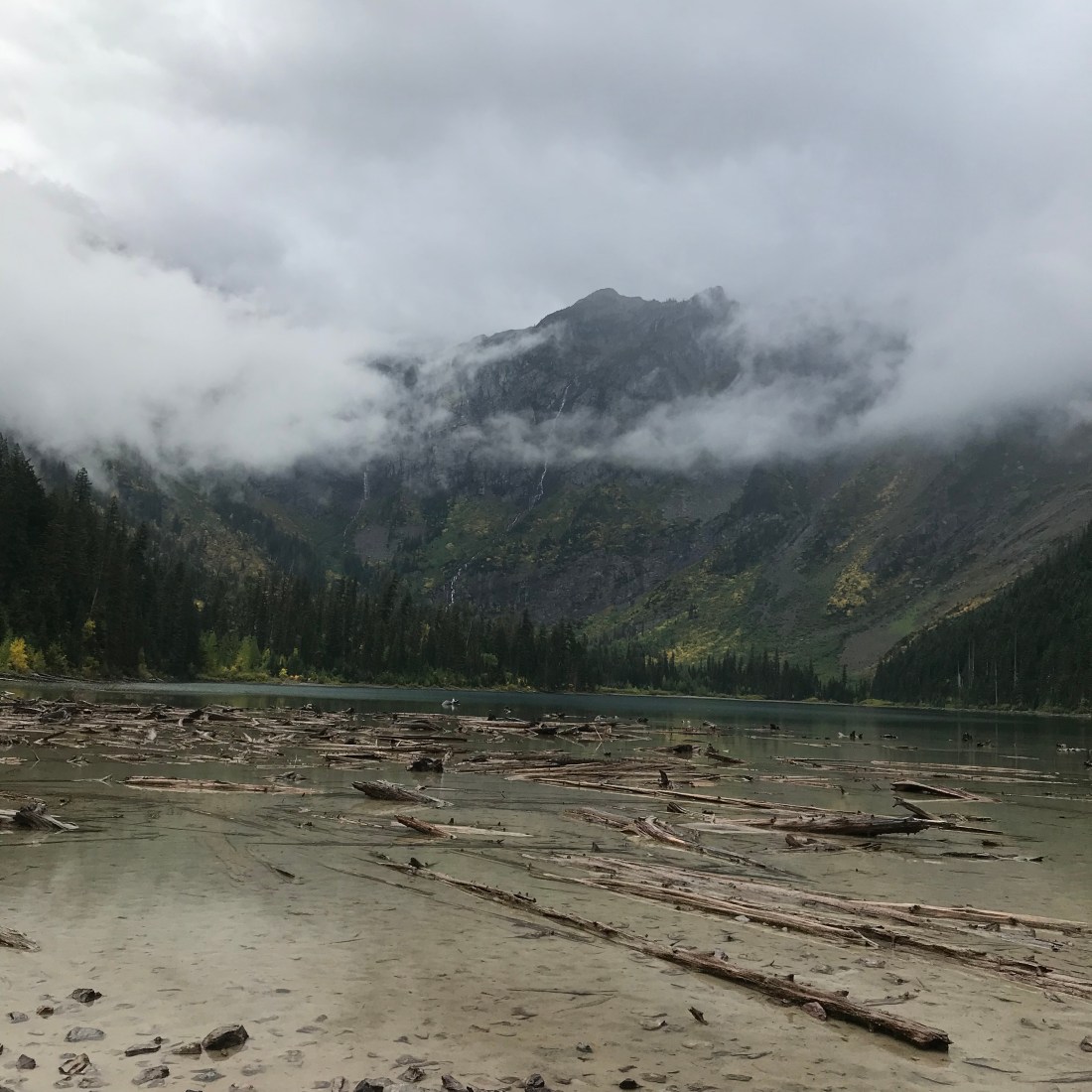 15BCDEF1-E888-4927-A0F1-925DD1E23FF0