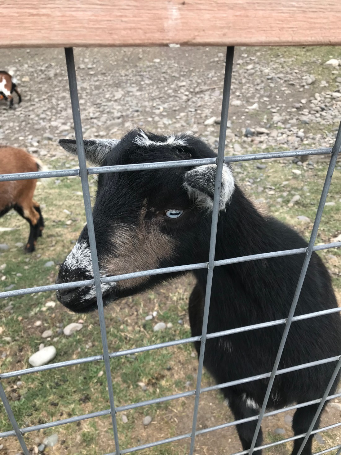 27808FD0-2DD2-40D8-AD3B-5024E43AF63F