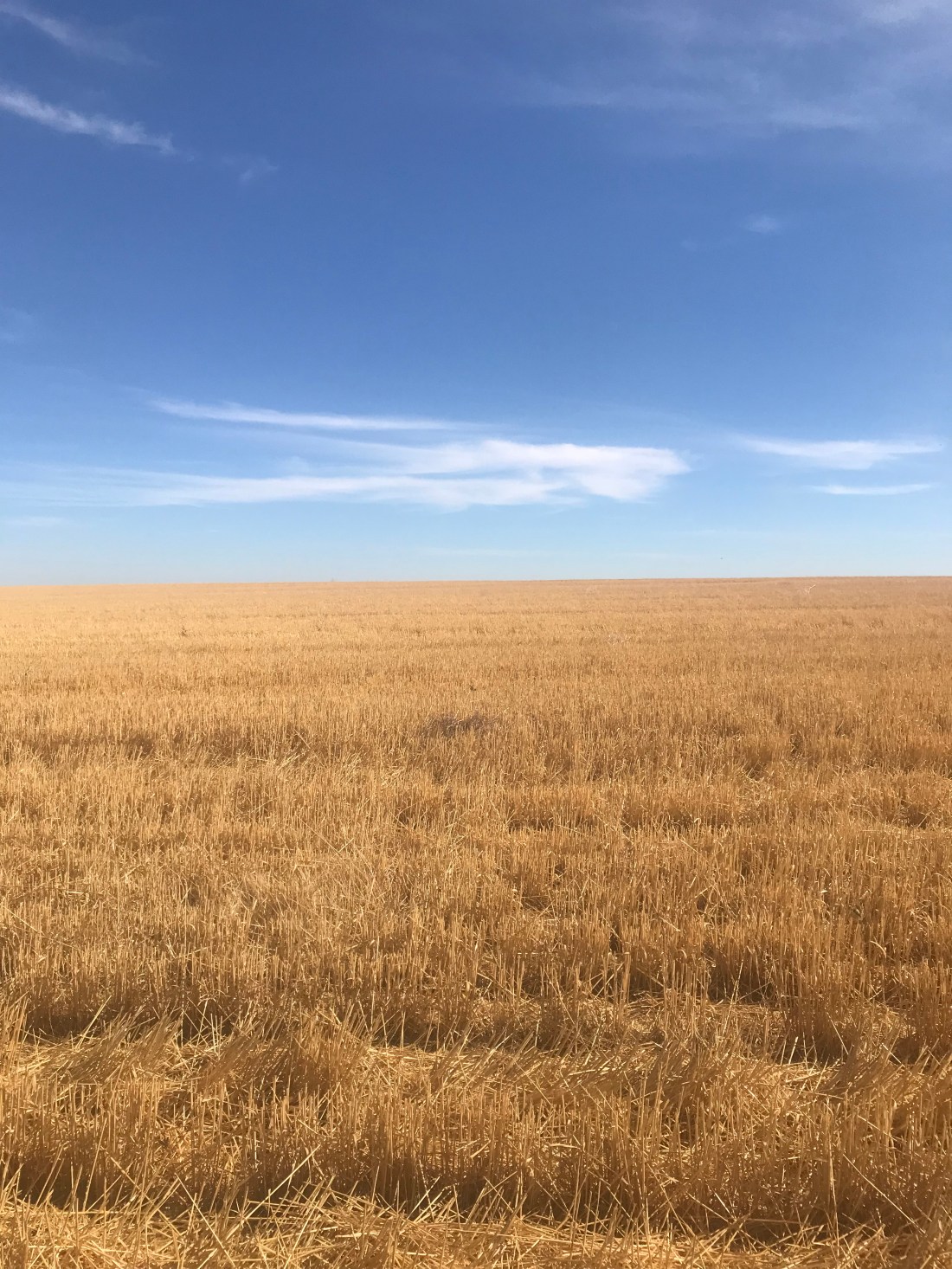 489C4CB1-305A-45F4-9FFC-7172B46FE700