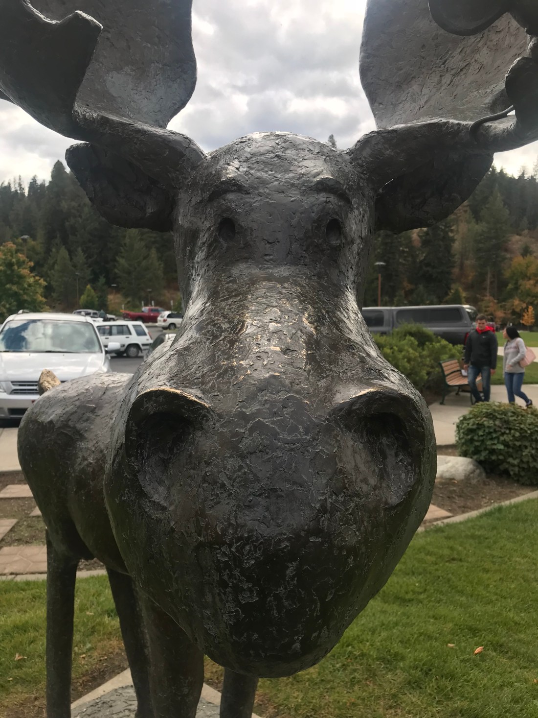 DA1AA75E-C089-4C80-B879-6F1607FA1A35