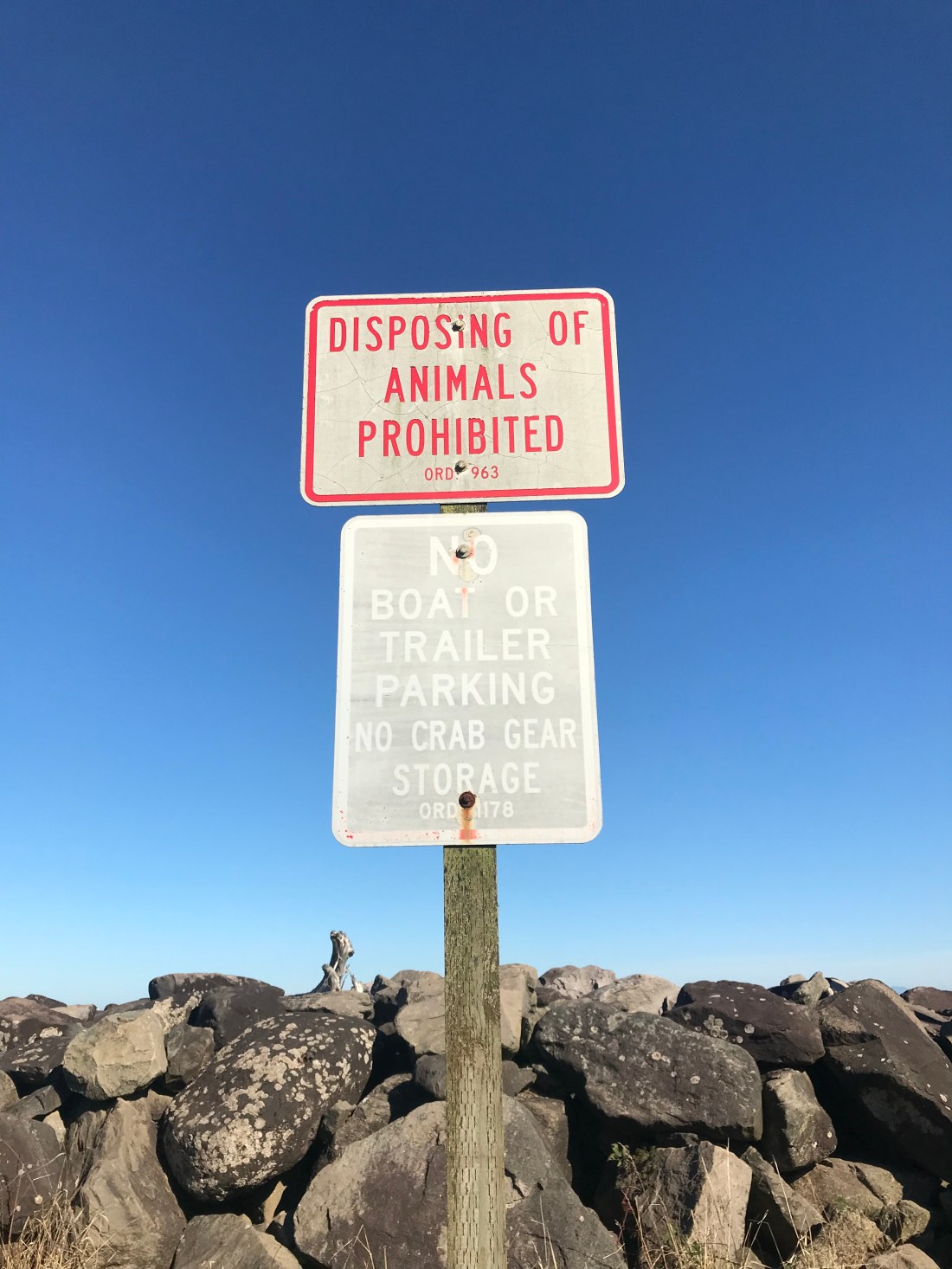 DDC3F80F-881B-4B1A-A849-527FFE506C92