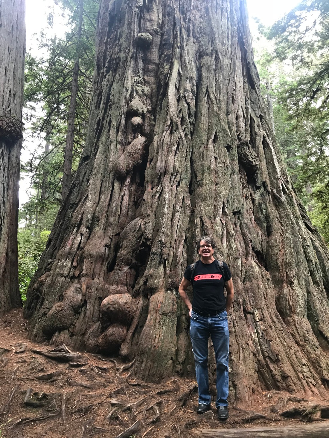 064FEDB6-65F4-4CE7-8FC6-42291CB424B0