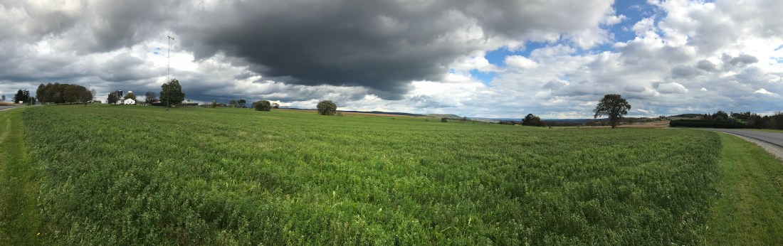 7669B87D-0454-46A4-9F1D-A2CC54E4017E