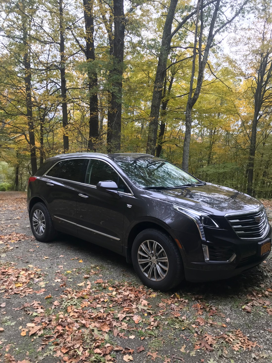 A6ED0684-E954-4C3F-8153-6510473EBBA2