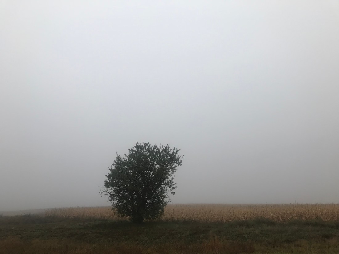 D37E5A7C-CEF4-424E-9209-E92DBD592728