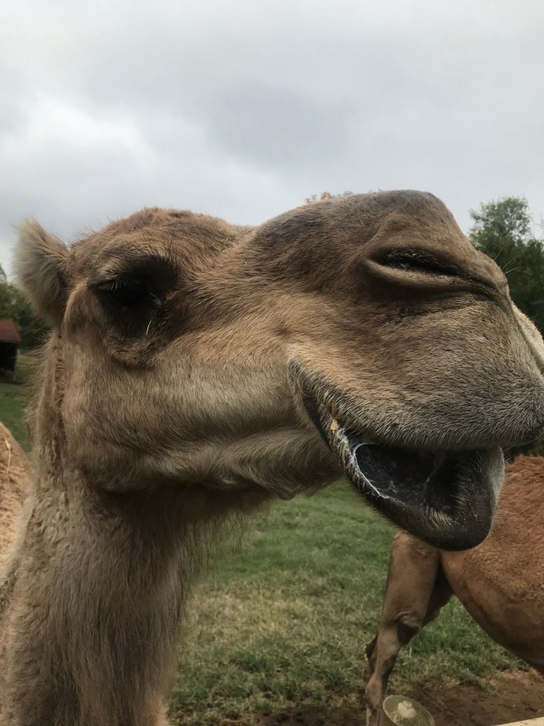 F14AA688-2AE7-4FBA-9941-67A6B24DE7BE