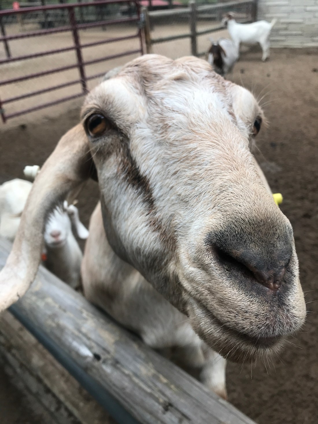 F4E1C1F2-728C-43B0-B79C-A97ACFEC6883