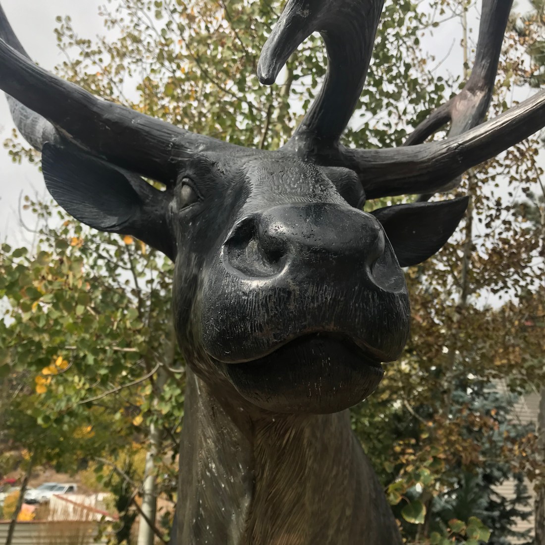 F98B400A-54C1-4EF5-A8F0-B1085906FF1C