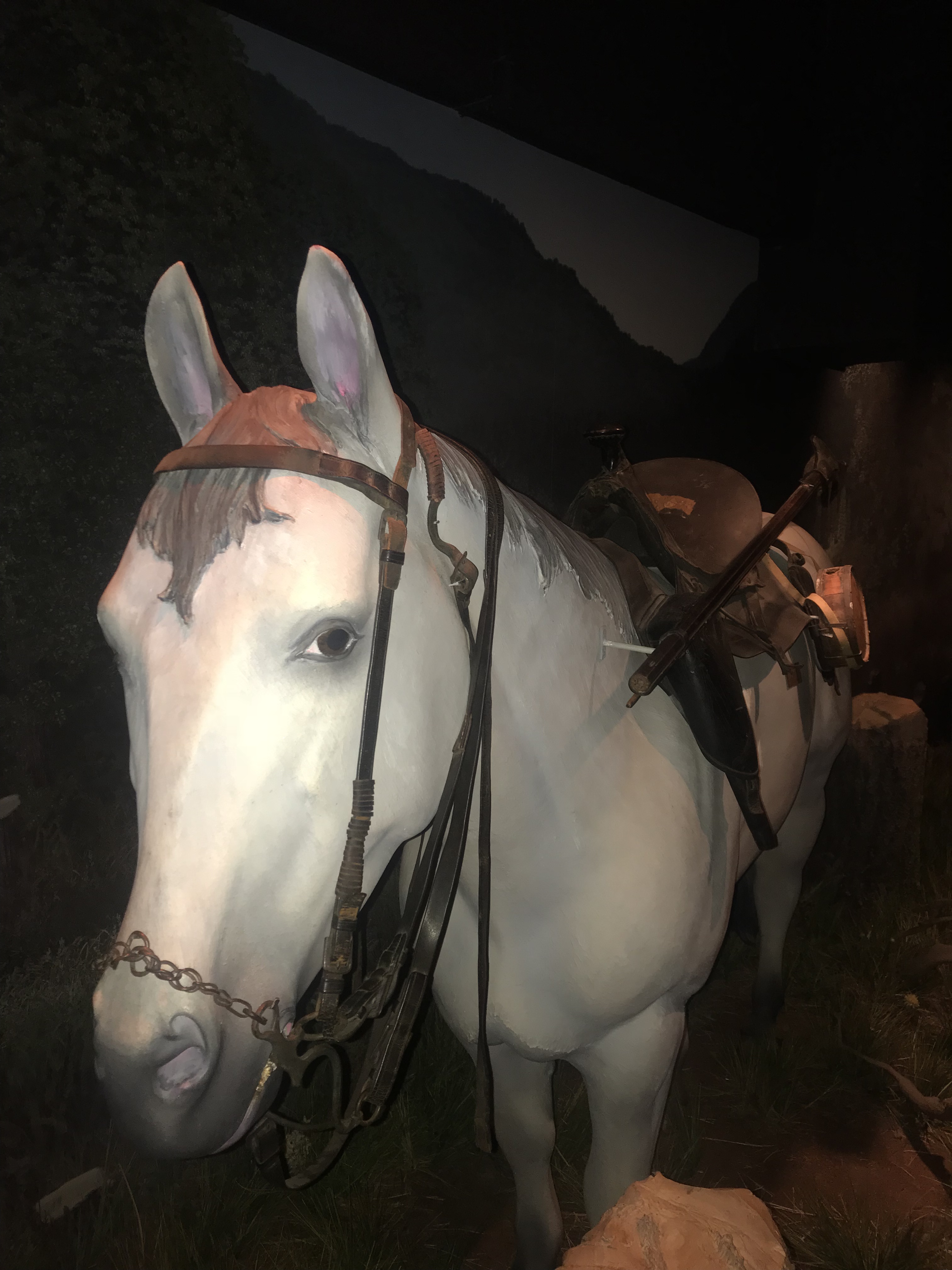 FA893BA0-C86C-4B10-932C-E8B832F12C71