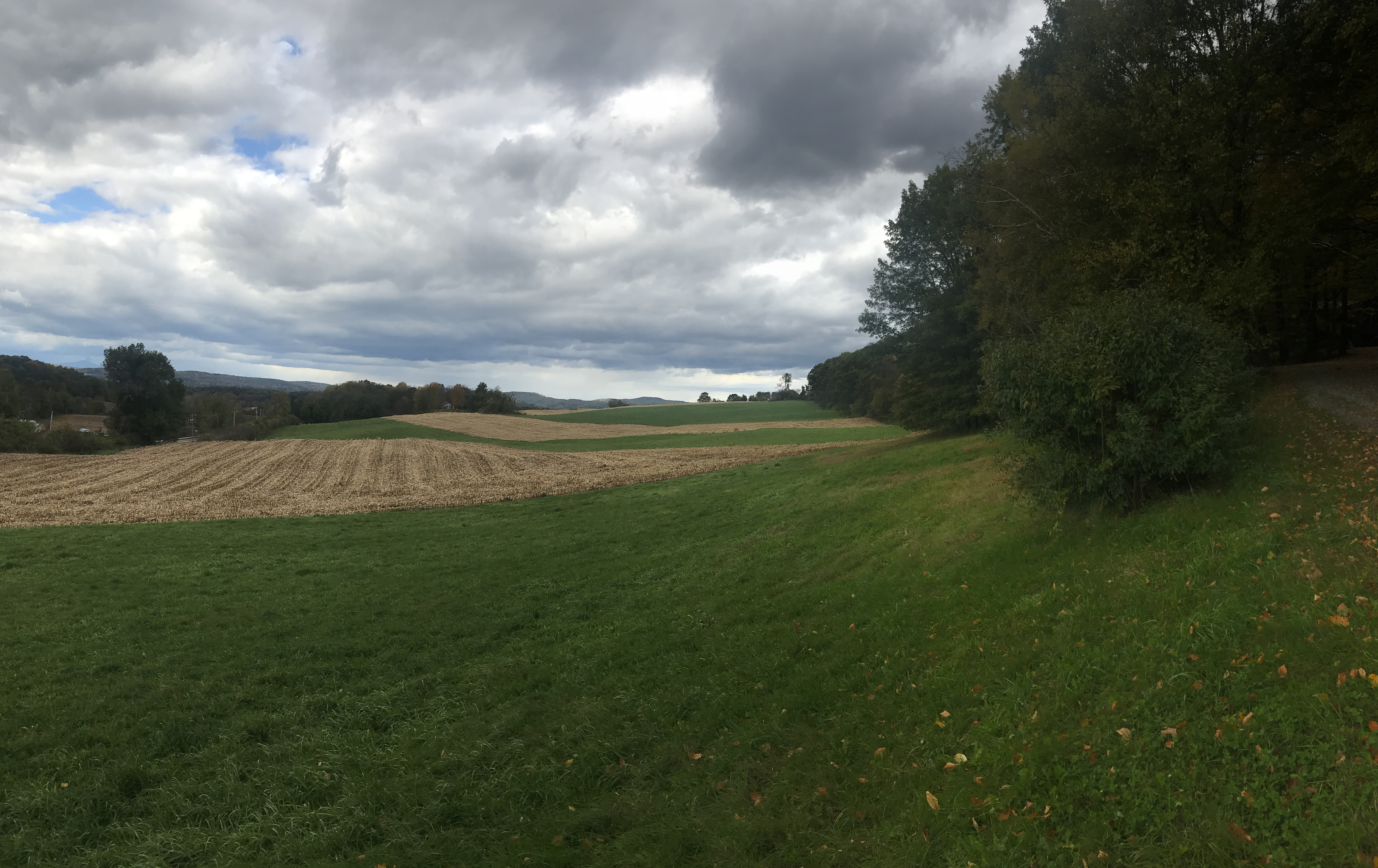 FD4CC195-8F2E-47AF-96F4-06B52674D604