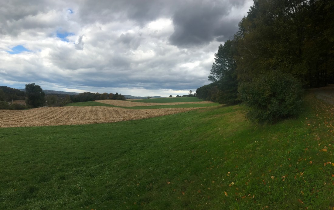 FD4CC195-8F2E-47AF-96F4-06B52674D604