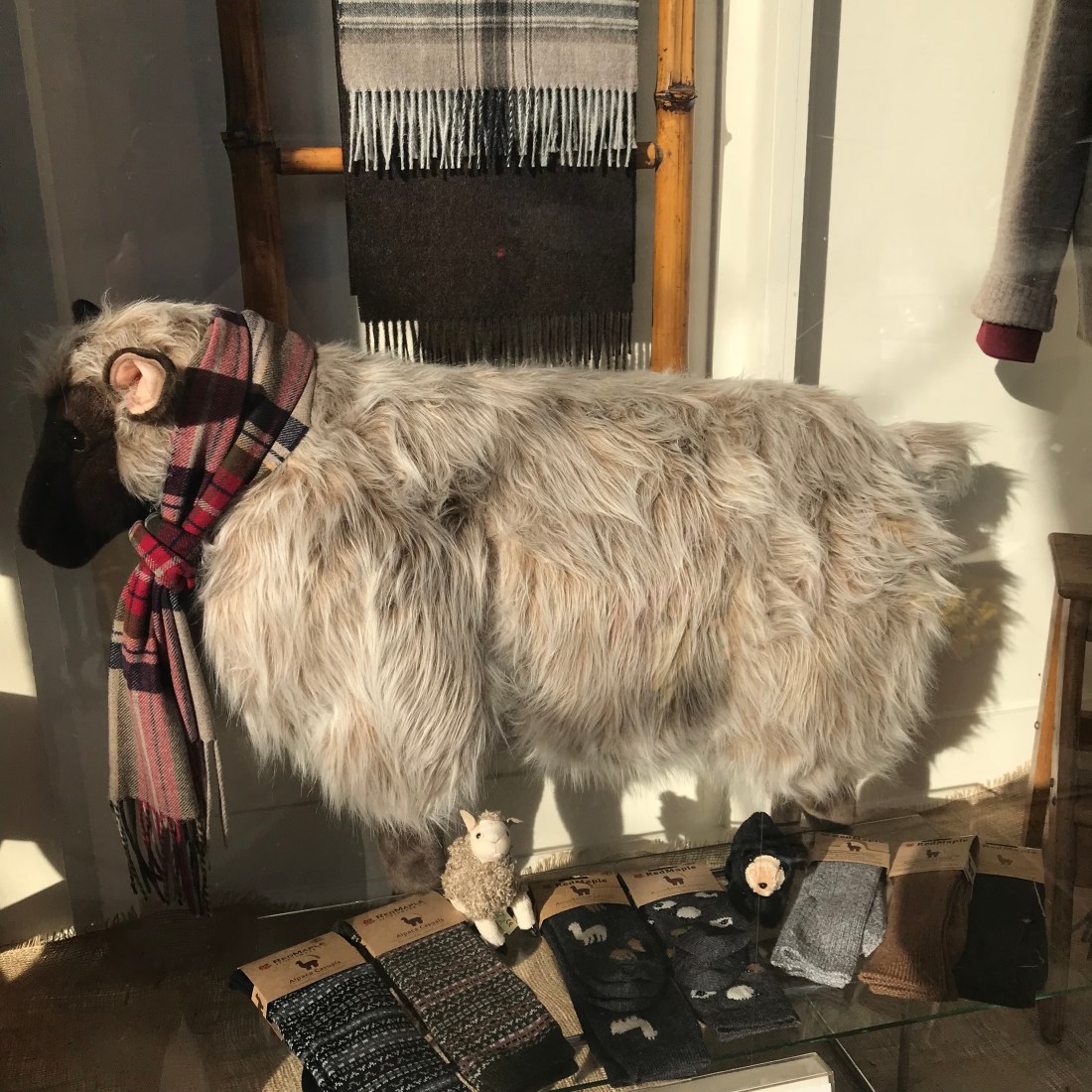 EA8ABA2B-FB3D-44BE-B5F8-DC16161361B1