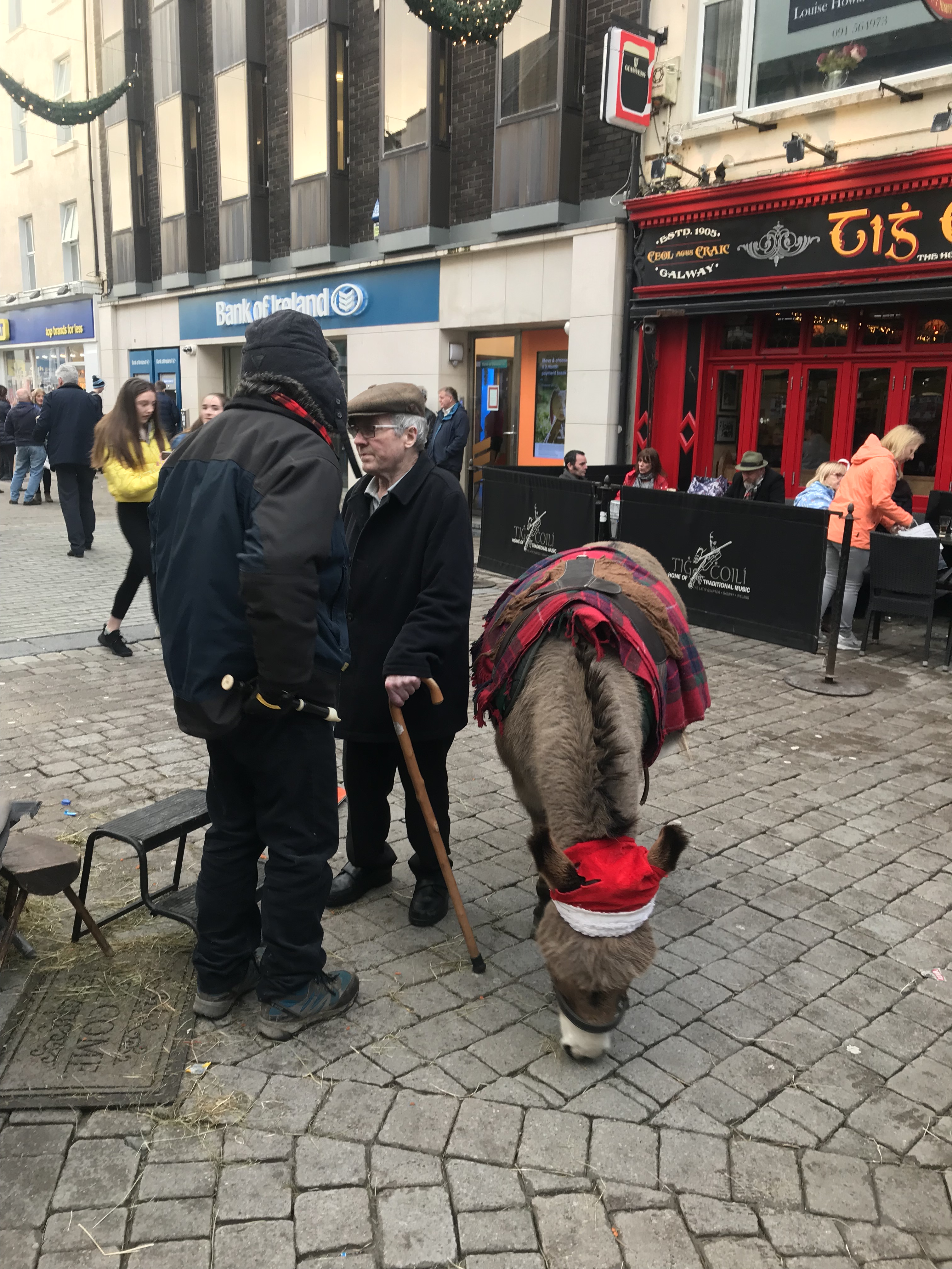 209375E0-8937-40AB-A34A-E7891974806E