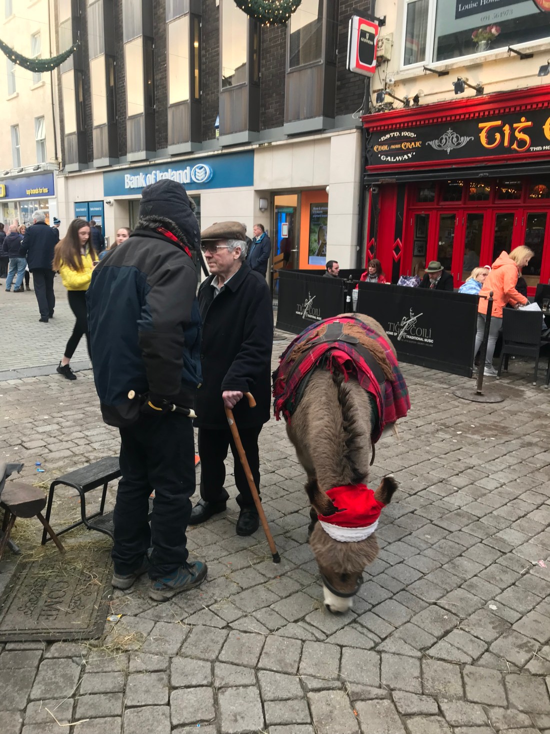 209375E0-8937-40AB-A34A-E7891974806E